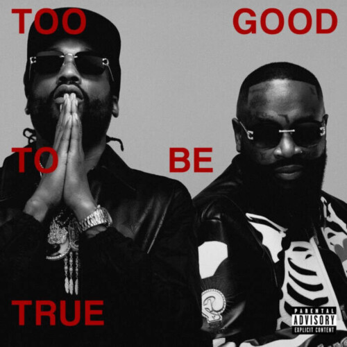 unnamed-48-500x500 RICK ROSS & MEEK MILL ANNOUNCE "TOO GOOD TO BE TRUE" ALBUM  