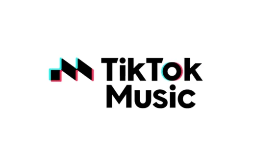 2023 Year in Music on TikTok