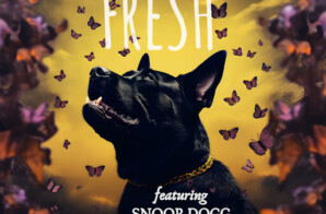 The Collab We Didn’t Know We Needed: M.a.c. K.i.l.l.a., Banknote Mitch, and Snoop Dogg Drop “Fresh”!