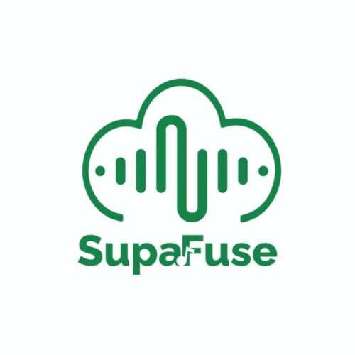 WhatsApp-Image-2024-04-20-at-4.40.39-PM-1-500x500 An Evolving Era of Music Discovery: Introducing SupaFuse to Global Audiences  