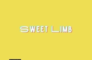 Sweet Limb Struts With Their New EP “Mellow Yellow”