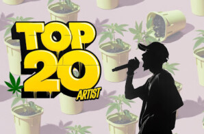 Top 20 Artist with 420 And Smoking Accessory Brands