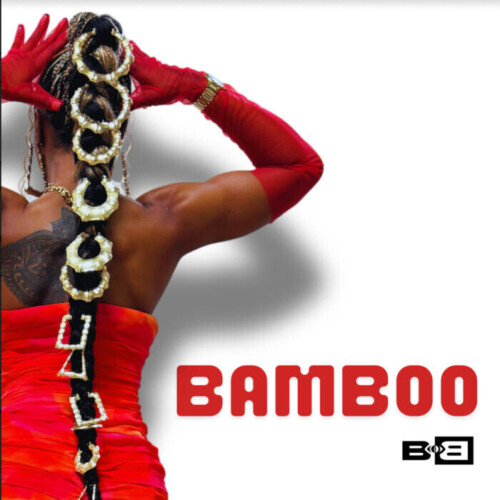 unnamed-2-4-500x500 B.O.B Drops New Single "Bamboo"  