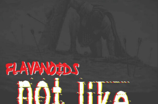 Flavanoids featuring D.C. Papoose & Wasun- “Not Like…”