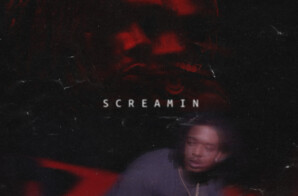 PYREX DROPS VIDEO SINGLE “SCREAMIN”