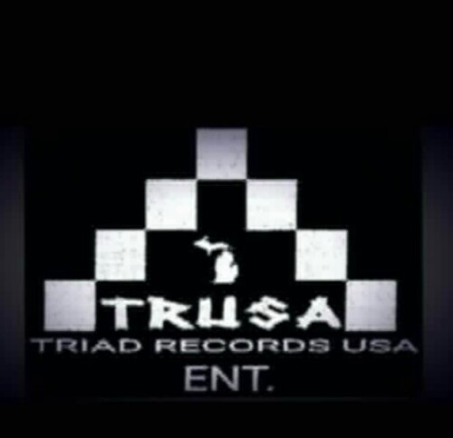 IMG_20250104_121931-500x483 David Henry: The Mogul Behind TRIAD RECORDS USA  