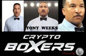 CryptoBoxers Packs a Power Punch Prelaunch On PlayChange.io for National Video Game Day