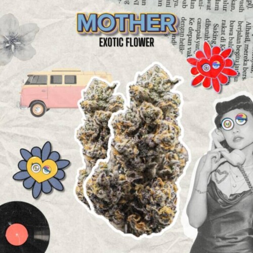 WhatsApp-Image-2025-09-06-at-4.22.21-PM-2-500x500 Women in Cannabis Brunch Set to Empower Maryland’s Next Wave of Bosses  