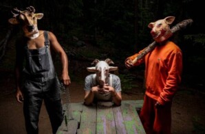 LawKee Taps Into A New Sound With “L’instinct Animal”