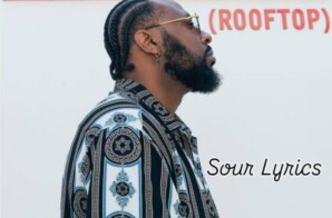 Crown of Vibes: IAMSOURLYRICS Ignites Global Heat with “Exotic Girl”