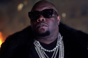 A Holiday Anthem with Heart: “Whispering to Santa” Steals the Show at Pop Vinci’s Listening Party