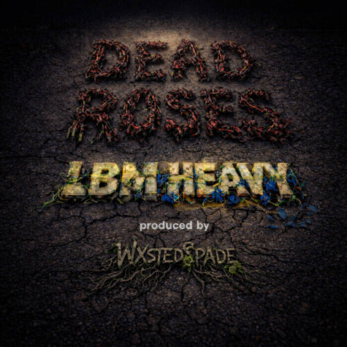 046CB6D0-E267-4834-9243-082A645C31A5-500x500 LBM Heavy Channels Loyalty and Pain on New Single “Dead Roses”  
