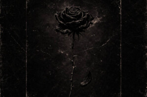 Joey Supratta Releases “Black Rose” – A Haunting Reflection on Love That Was Never Meant to Be