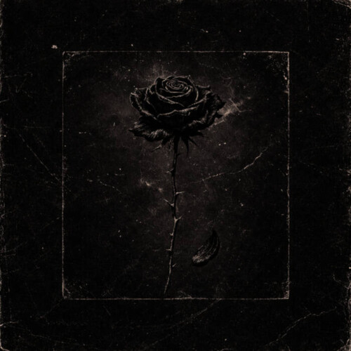 Photo-Mar-02-2026_-5-44-22-AM-500x500 Joey Supratta Releases “Black Rose” - A Haunting Reflection on Love That Was Never Meant to Be  