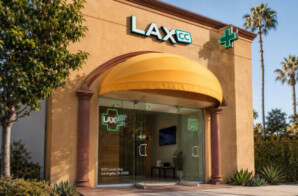 The Best Dispensary Near Santa Monica Pier & Playa del Rey Beach