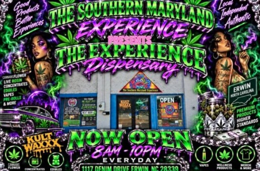 Stevieontay Burnz Announces Burnz and Beyond — Where Music, Cannabis Culture, and Entrepreneurship Collide