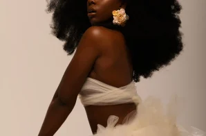 NaijaPalooza Brings Nigerian Independence Day Celebration 2026 and Nestreya to Atlanta