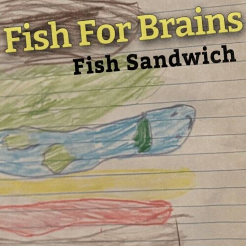 main-500x500 Independent Music Project ‘Fish For Brains’ Takes Lead in Timbaland x Orbiiit Global Talent Search
